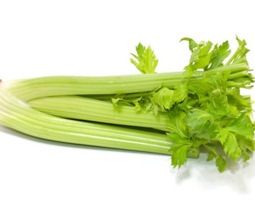 Celery