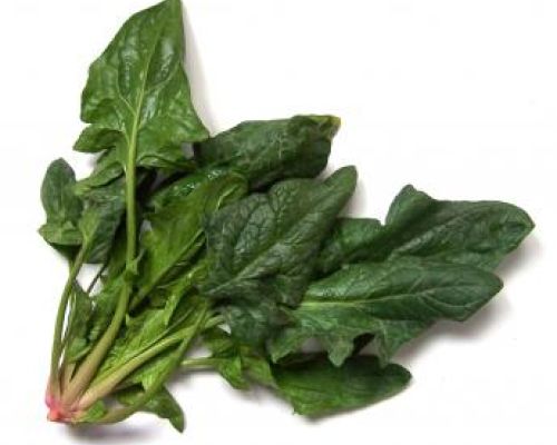 Wild Spinach