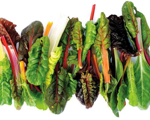 Swiss chard