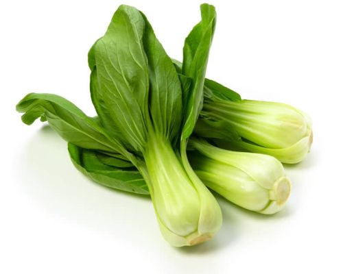 Bok Choy