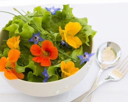 Edible Flowers