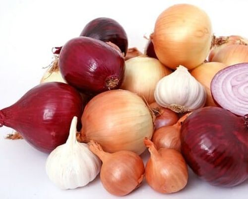 Onion and Garlic